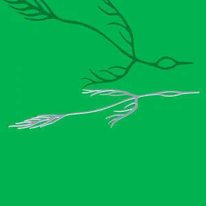 Outside of your lifetime